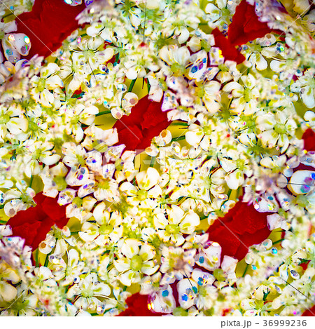 デザイン素材　花束 36999236