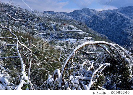 雪景 銀世界 雪景色 36999240