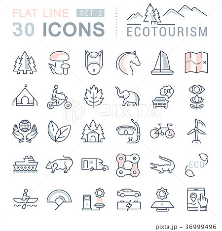 Set Vector Flat Line Icons Ecotourism 36999496