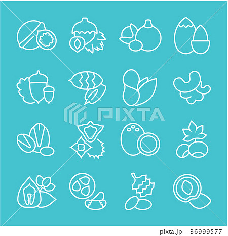 Set Vector Flat Line Icons of Nuts Set Vector Flat Line Icons of Nuts 36999577