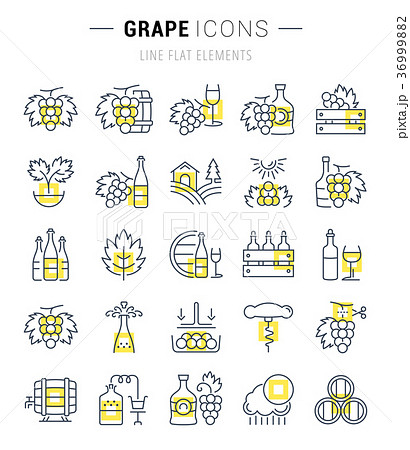 Set Vector Flat Line Icons Grape  36999882