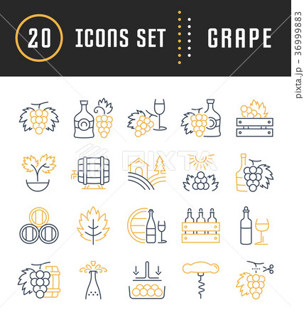Set Vector Flat Line Icons Grape  36999883
