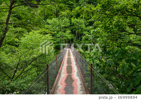 西沢渓谷の二俣吊橋 西沢渓谷の二俣吊橋 36999894