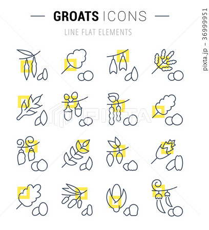 Set Vector Line Icons of Groats 36999951