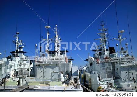 カツオ船 37000301