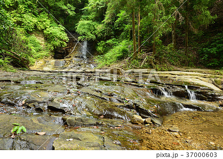 新緑の養老渓谷 37000603