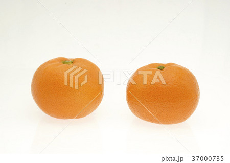 ミカン　西宇和みかん　白抜き 37000735