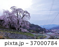 朝の始まり 37000784