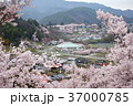 街を色鮮やかに 37000785