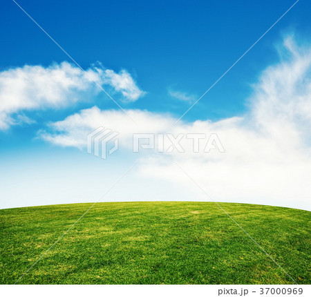 summer grass lawn with sky 37000969