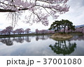 日本庭園のような美しさ 37001080