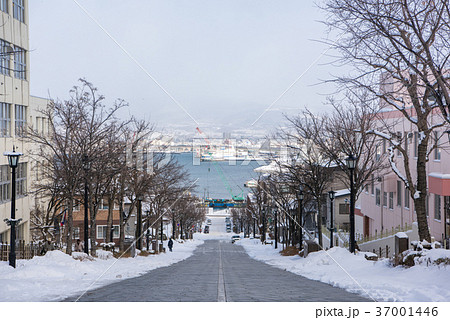 函館　八幡坂　冬 37001446