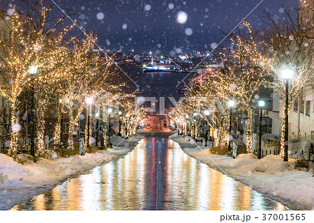 函館　八幡坂のイルミネーション 37001565