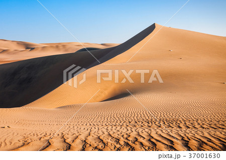 Huacachina desert dunes 37001630