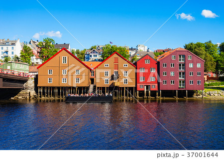 Colorful old houses, Trondheim 37001644