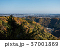 紅葉期の高尾山から見る東京都 37001869