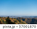 紅葉期の高尾山から見る東京都 37001870