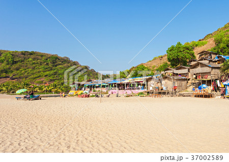 Arambol beach, Goa 37002589