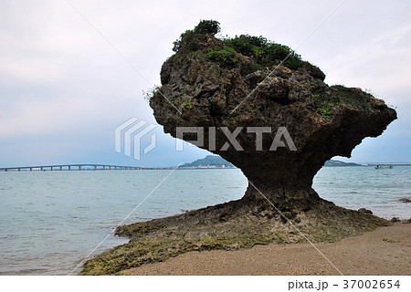 浜比嘉島　沖縄県うるま市 37002654