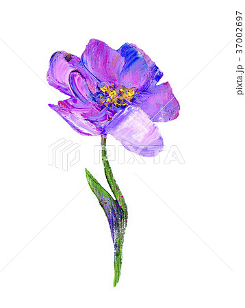 Hand painted modern style purple flower Hand painted modern style purple flower 37002697