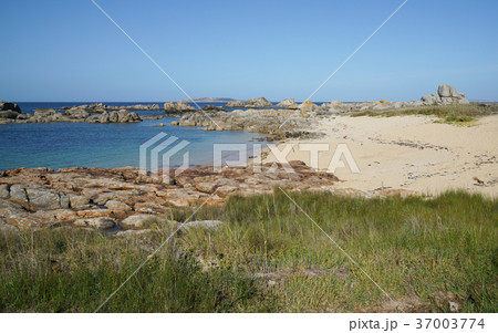 O Grove, Galicia, Spain O Grove, Galicia, Spain 37003774