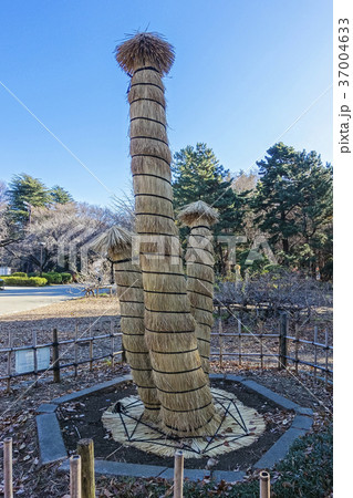 雪囲（縦） 37004633