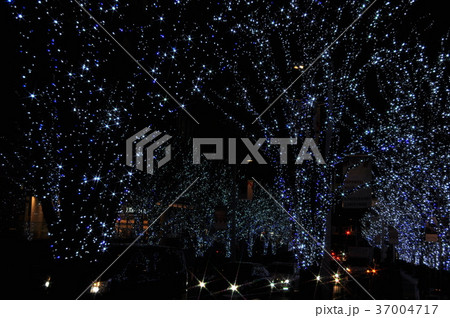 夜景 風景 夜景 風景 37004717