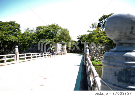 彦根城の写真 37005357