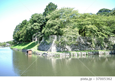 彦根城の写真 37005362