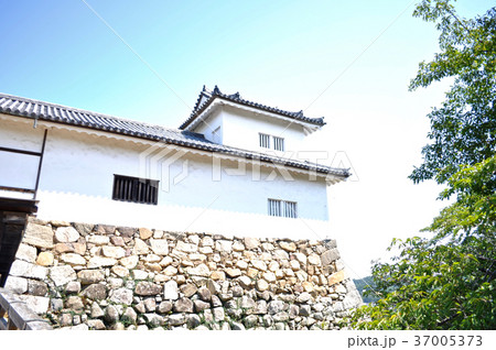 彦根城の写真 37005373