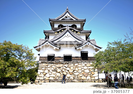 彦根城の写真 37005377