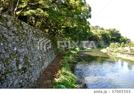 彦根城の写真 37005503