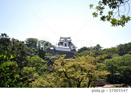彦根城玄宮園の写真 37005547