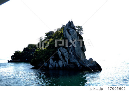 琵琶湖多景島の写真 37005602