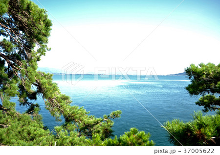 琵琶湖多景島の写真 37005622