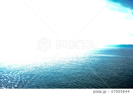 琵琶湖多景島の写真 37005644