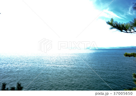 琵琶湖多景島の写真 琵琶湖多景島の写真 37005650