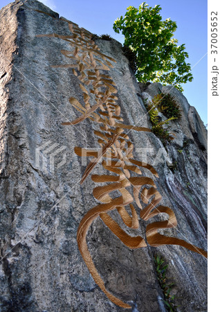 琵琶湖多景島の写真 37005652