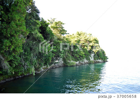 琵琶湖多景島の写真 37005658