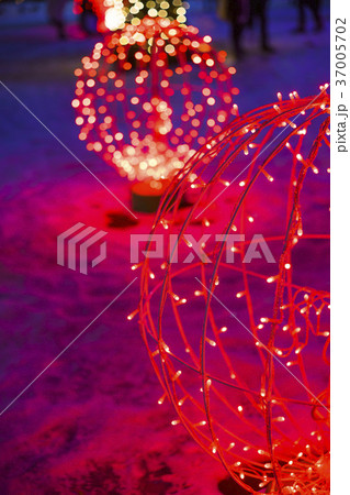 さっぽろホワイトイルミネーション（イメージカット） 37005702