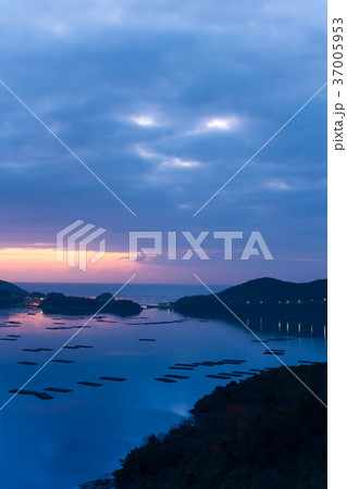 瀬戸内海の牡蠣養殖場の夜明け 37005953