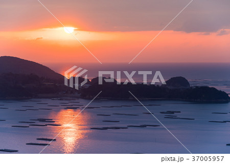 瀬戸内海の牡蠣養殖場の昇陽風景 37005957