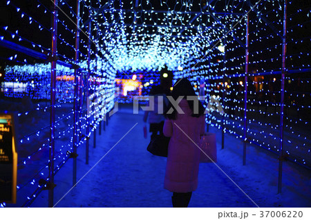 さっぽろホワイトイルミネーション（イメージカット） 37006220