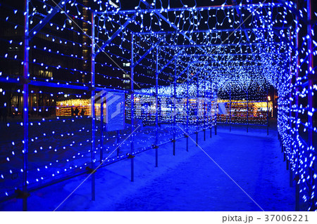 さっぽろホワイトイルミネーション（イメージカット） 37006221