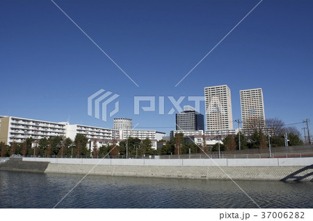 浦安市 12月 37006282