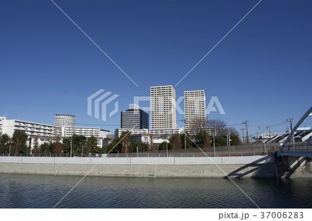浦安市 12月 37006283