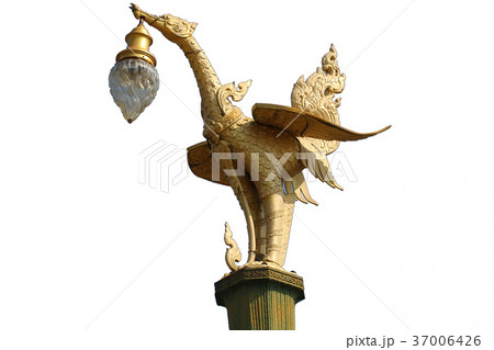Golden art mystery bird Lantern hang designed deco Golden art mystery bird Lantern hang designed deco 37006426