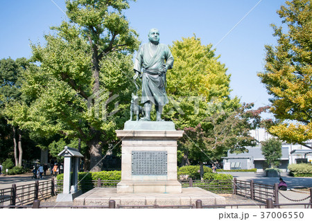 上野公園　西郷銅像 37006550