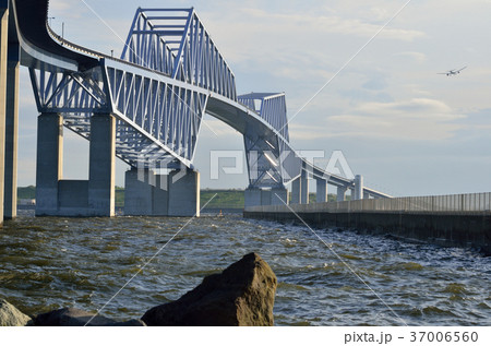 東京ゲートブリッジ 37006560