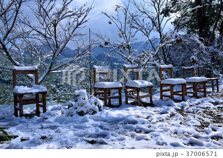 雪景 銀世界 雪景色 37006571